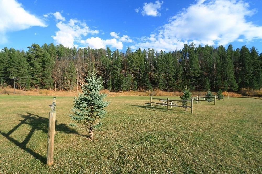 Black Elk Resort Хил Сити Стая снимка